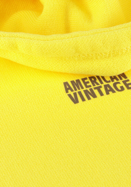 AMERICAN VINTAGE IZUBIRD HOODIE Pulls & Gilets en jaune - large