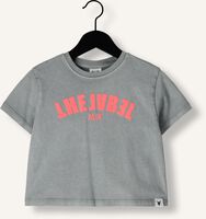 Grijze ALIX MINI T-shirt CROPPED T-SHIRT Grijze ALIX MINI T-shirt CROPPED T-SHIRT - medium