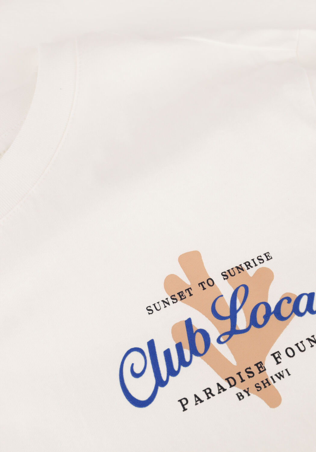 SHIWI T-shirt MEN LIAM REGULAR T-SHIRT PARADISE en blanc - large