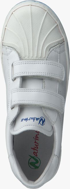 Witte NATURINO Sneakers 4064  - large