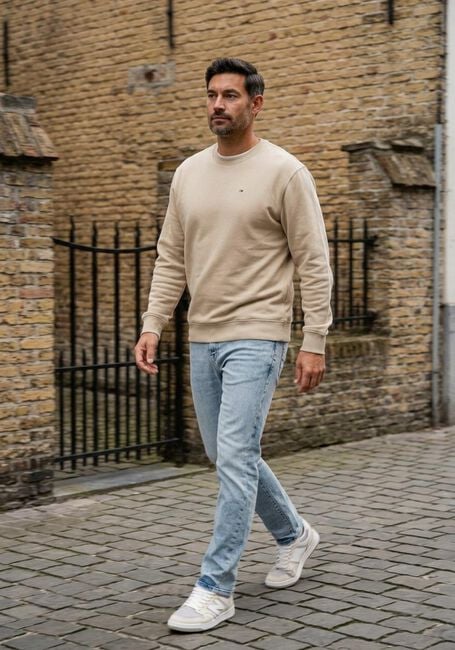 TOMMY JEANS Pull TJM REG S FLAG CREW EXT en beige - large
