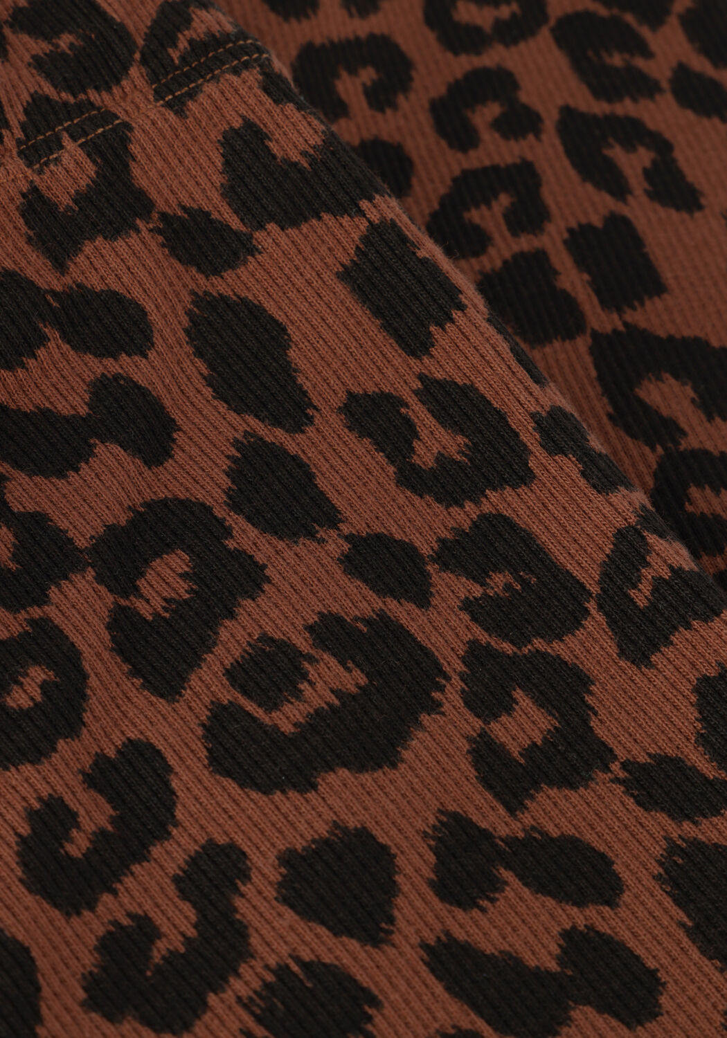 DAILY BRAT Legging LEOPARD PANTS HICKORY BROWN en marron - large