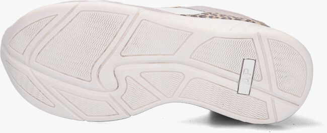 Witte APPLES & PEARS Lage sneakers B0010045 - large