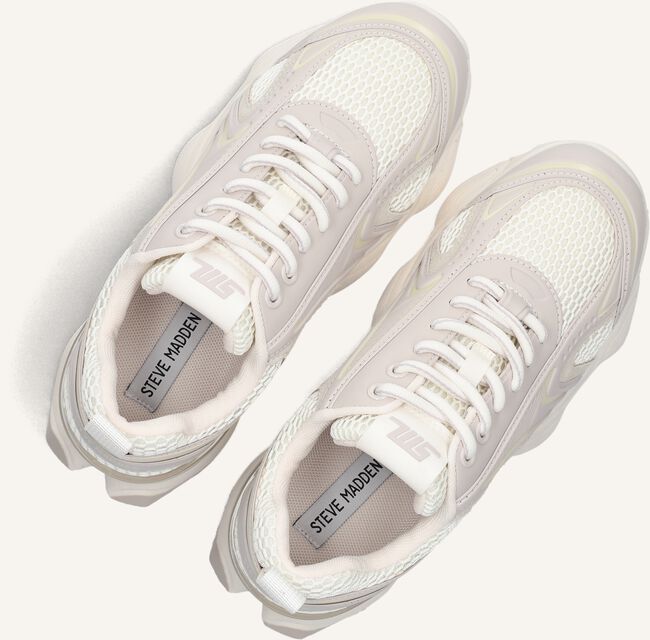 Taupe STEVE MADDEN Sneakers SPEEDSTER-E Taupe STEVE MADDEN Sneakers SPEEDSTER-E - large