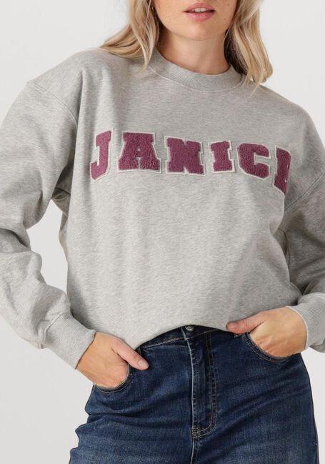 JANICE Chandail ANDY en gris - large
