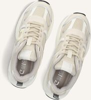 Beige CRUYFF JUNIOR Sneakers MARTI Beige CRUYFF JUNIOR Sneakers MARTI - medium