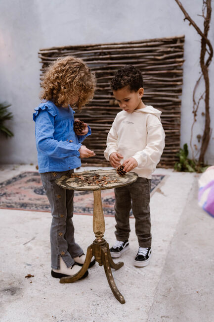 DAILY7 Flared jeans 2452 FLARED FIT FLOWER en gris - large