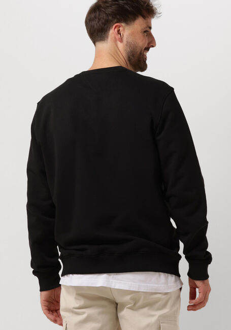 TOMMY JEANS Pull TJM REG BADGE CREW EXT en noir | Omoda