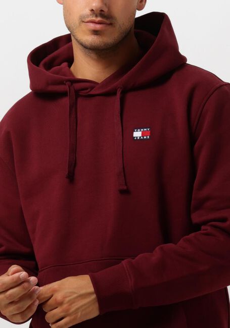 TOMMY JEANS Pull TJM REG BADGE HOODIE EXT en violet - large