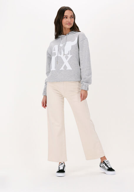 Grijze ALIX THE LABEL Trui ALIX BULL HOODIE - large