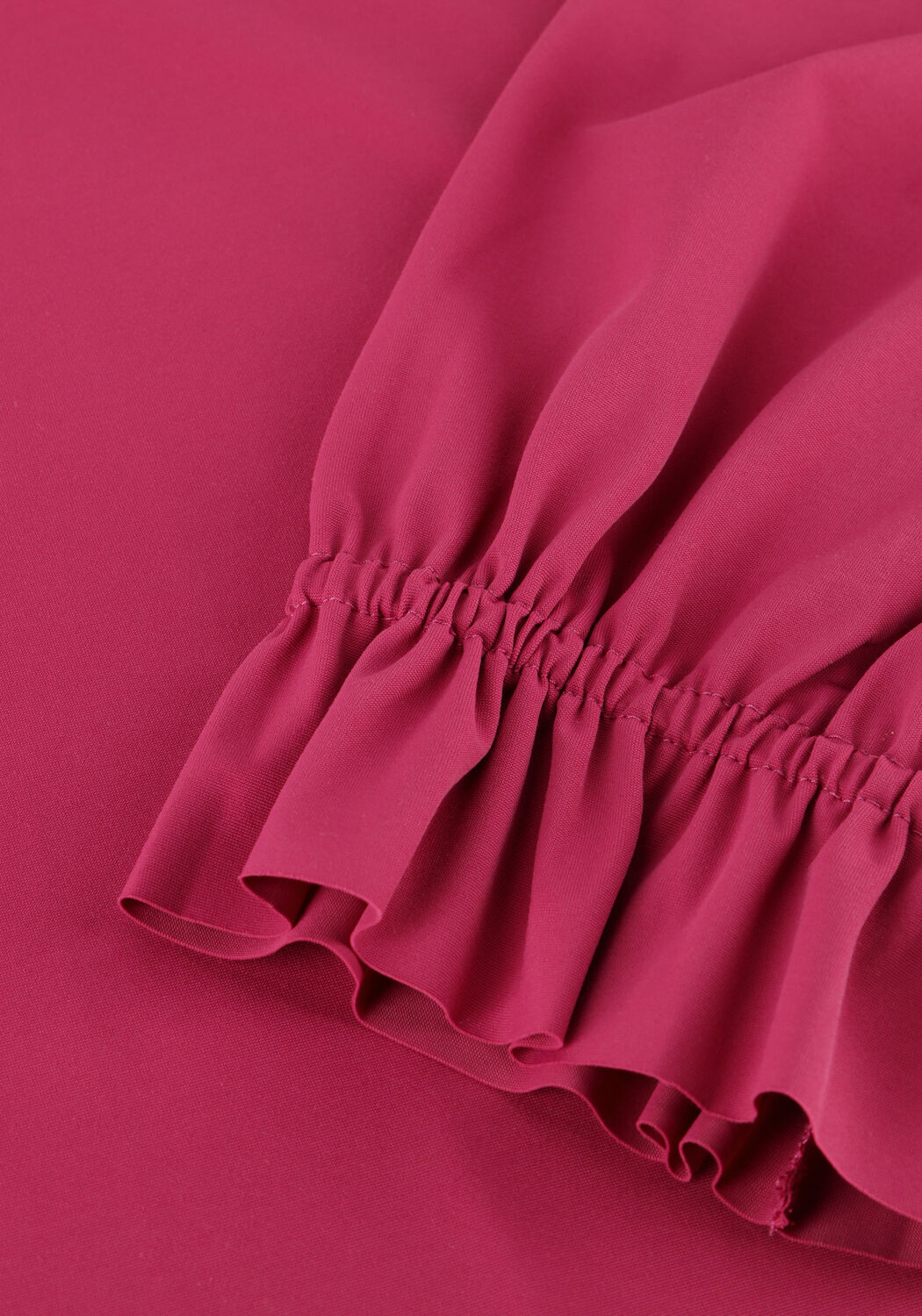 Fuchsia JAPAN TKY  MUKAWA - large