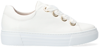 Witte GABOR Lage sneakers 464 - medium