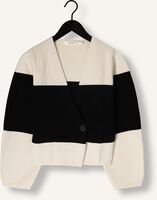 Multi INWEAR Trui KAYLLAIW CARDIGAN Multi INWEAR Trui KAYLLAIW CARDIGAN - medium