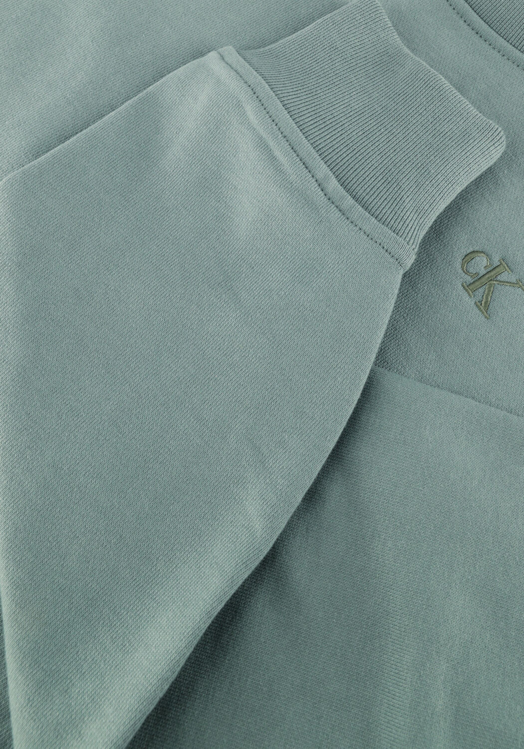 CALVIN KLEIN Chandail LS ARCHIVE LOGO FRENCH TERRY RLX en vert - large