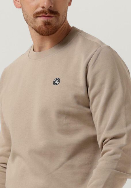 Beige ANERKJENDT Trui AKALLEN NOOS CREWNECK - large