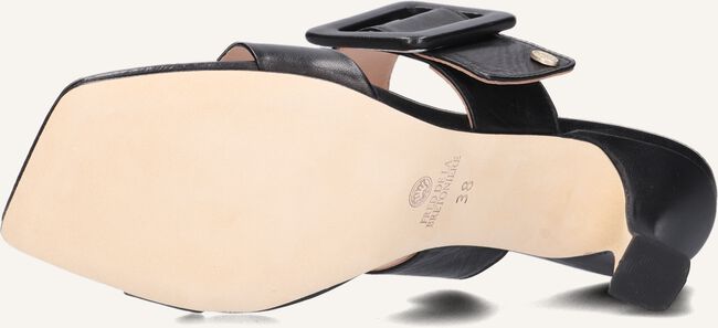 Zwarte FRED DE LA BRETONIERE  163010149 Zwarte FRED DE LA BRETONIERE  163010149 - large