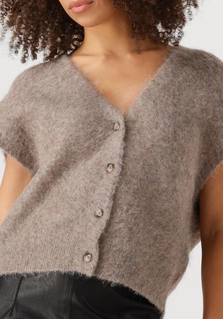KNIT-TED Spencer CONSTANCE en taupe - large