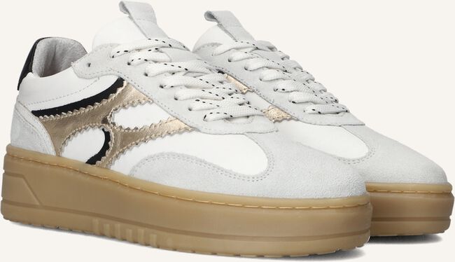 NOTRE-V ANEMONE-63 NOTRE-V ANEMONE-63 - large