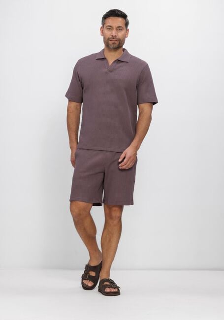 Paarse DSTREZZED Polo MAYSON POLO - large