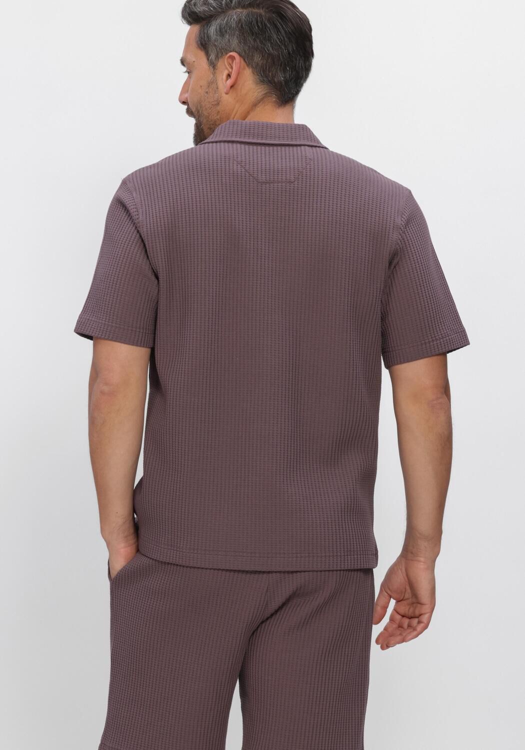 Paarse DSTREZZED Polo MAYSON POLO - large