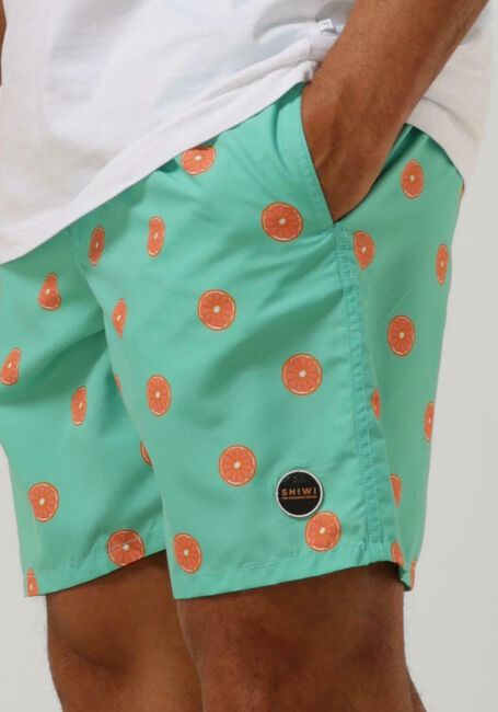 SHIWI Shorts de bain MEN SWIMSHORT CITRUS Menthe - large