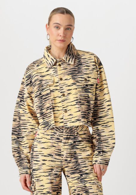HARPER & YVE Jack WILLOW-JA en bleu - large