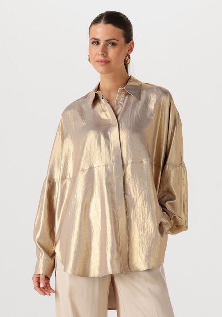 Gouden ACCESS  53-7016-922 - large