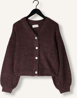 Paarse MSCH COPENHAGEN Vest MSCHPETRINELLE HOPE CARDIGAN Paarse MSCH COPENHAGEN Vest MSCHPETRINELLE HOPE CARDIGAN - medium