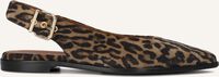 Bruine BILLI BI  A8301 Bruine BILLI BI  A8301 - medium