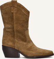 Camel NOTRE-V  AL331 - medium