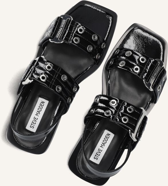 Zwarte STEVE MADDEN Sandalen SARIA-E Zwarte STEVE MADDEN Sandalen SARIA-E - large