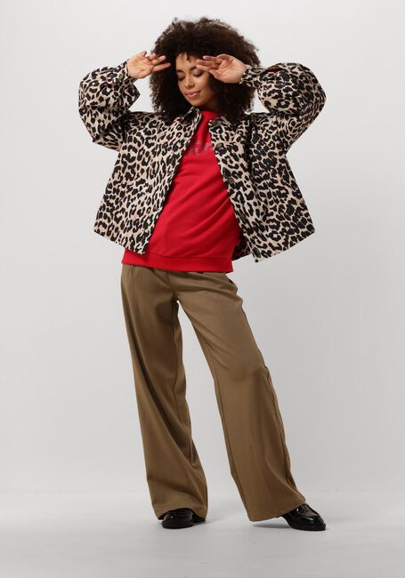 HARPER & YVE Jack RYLEE-CO en marron - large