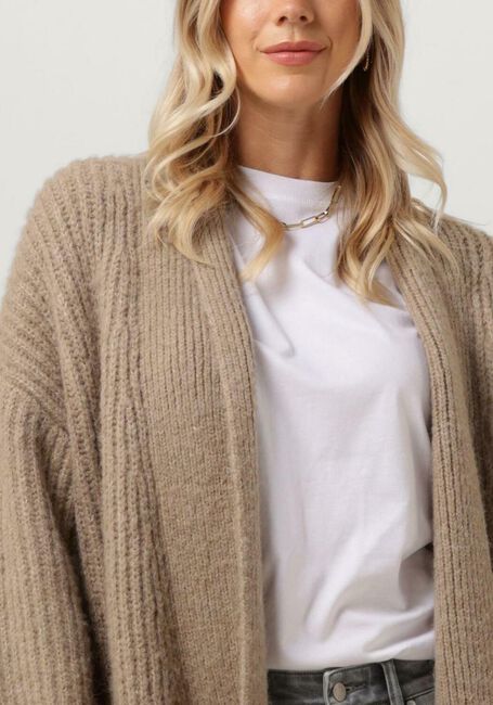 CIRCLE OF TRUST Gilet GINA KNIT en marron - large