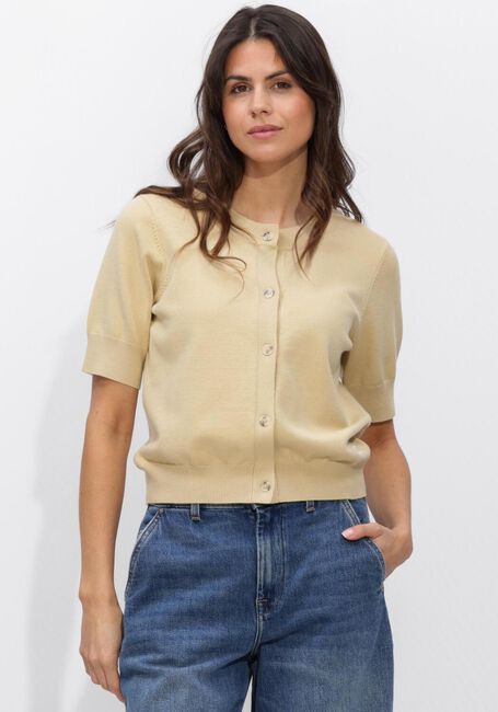 Beige STUDIO AR Trui 15TL261045.01 - large