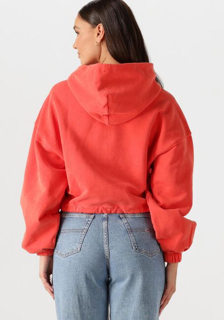 TOMMY JEANS Chandail TJW CRP GMD SCRIPT HOODIE en rouge - large