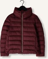 SAVE THE DUCK Veste matelassé ELSIE Bordeaux SAVE THE DUCK Veste matelassé ELSIE Bordeaux - medium