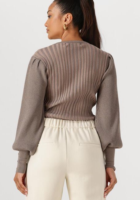 NUKUS MULBERRY PULLOVER LUREX Hauts & T-shirts en taupe - large