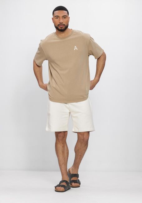 ANERKJENDT T-shirt AKVILLADS SUN PRINT SS TEE en beige - large