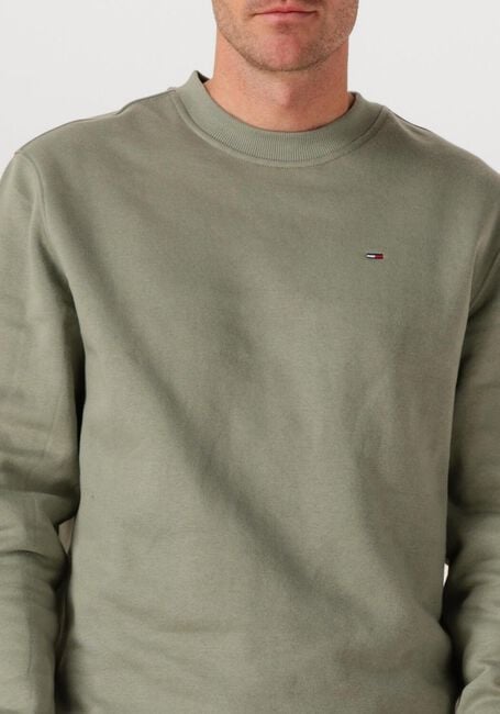 TOMMY JEANS Chandail TJM REG S FLAG CREW EXT en vert - large