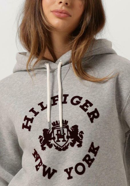 TOMMY HILFIGER Chandail REG VARSITY FLOCK HOODIE Gris clair - large