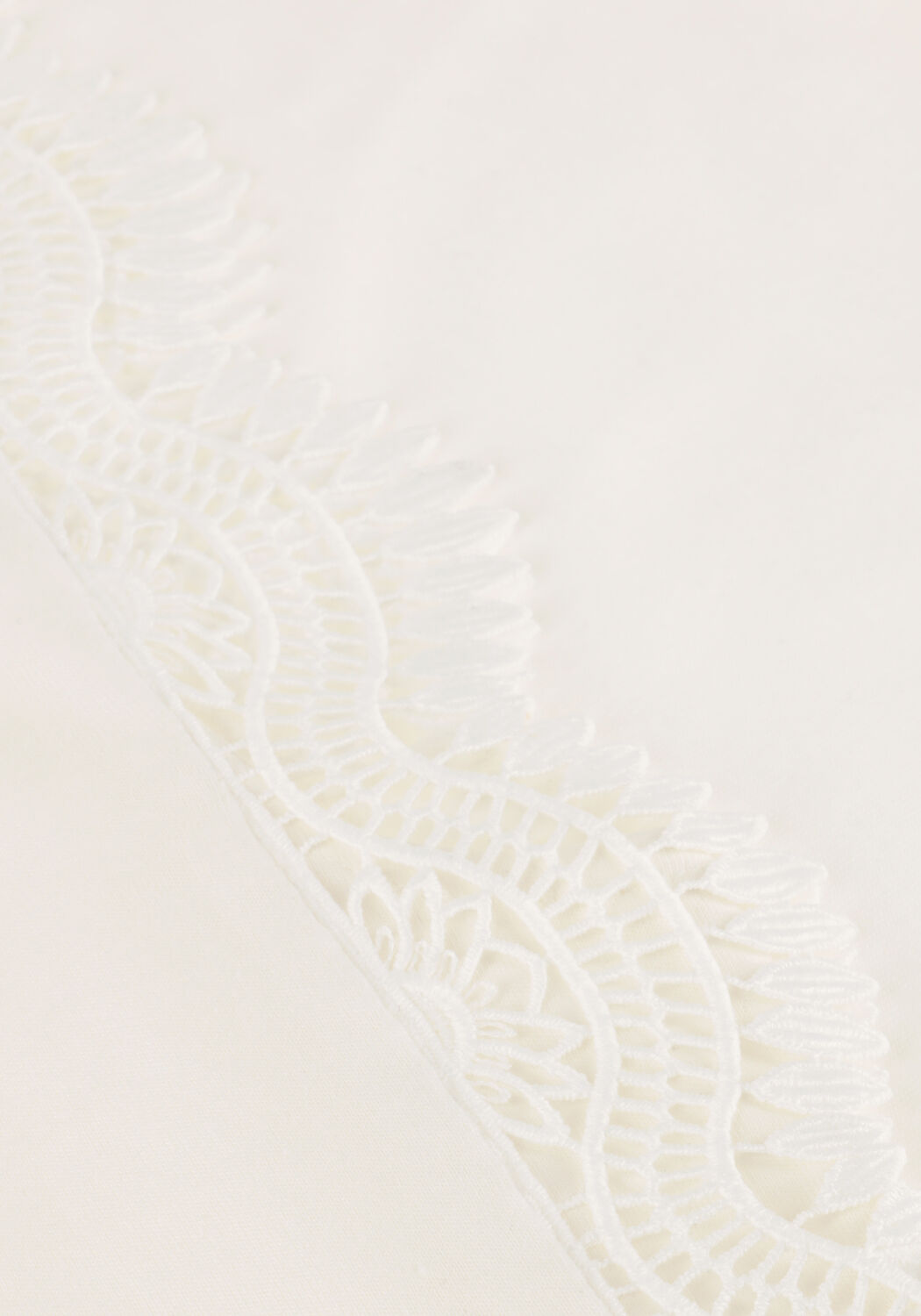 AAIKO T-shirt CORA FANCY CO 144 en blanc - large