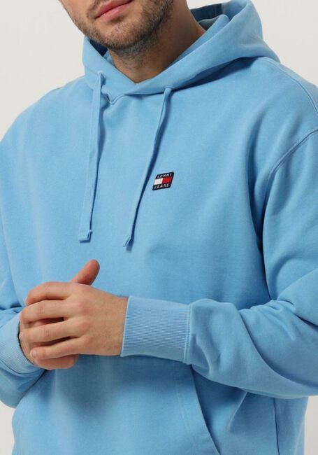 TOMMY JEANS Chandail TJM RLX XS BADGE HOODIE Bleu clair - large