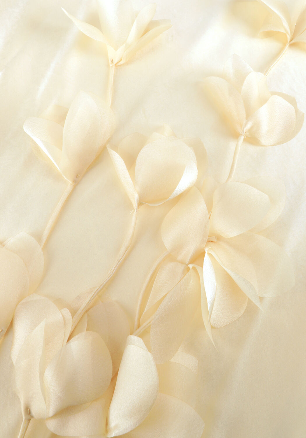 Creme NOTRE-V Maxi jurk NV-HEGINA - large