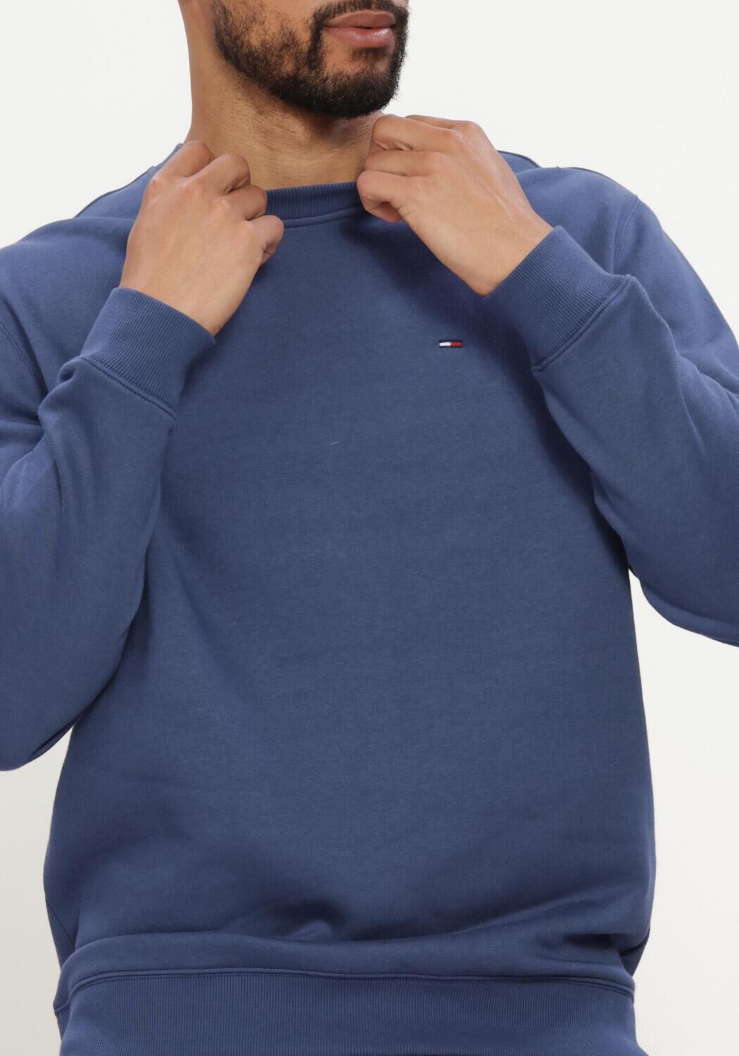 Blauwe TOMMY JEANS Sweater TJM REG S FLAG CREW EXT - large