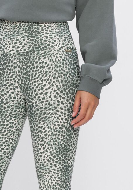 Groene DEBLON SPORTS Broeken/jumpsuits CLASSIC LEGGINGS HIGH WAISTBAND 2 - large