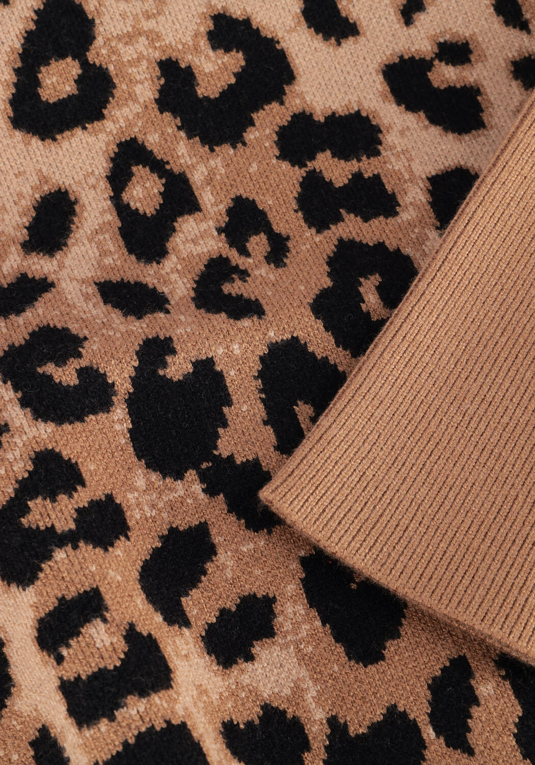 JANICE Pull JAY en camel - large