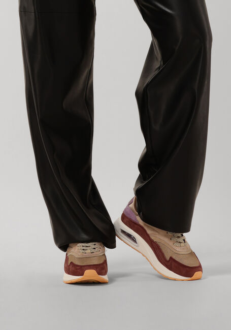 Camel THE HOFF BRAND Lage sneakers BIG BEN Camel THE HOFF BRAND Lage sneakers BIG BEN - large