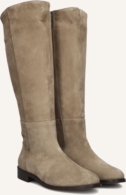 Taupe NOTRE-V  3496 Taupe NOTRE-V  3496 - large