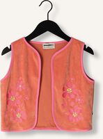 Roze AMMEHOELA Gilet AM-EMMY-22 Roze AMMEHOELA Gilet AM-EMMY-22 - medium