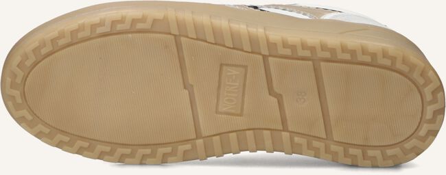 NOTRE-V ANEMONE-63 NOTRE-V ANEMONE-63 - large